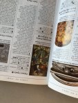  - Rome Eyewitness Travel Guide
