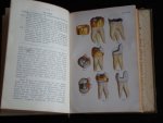 Preiswerk, Gustav - Lehrbuch und Atlas der Konservierende Zahnheilkunde