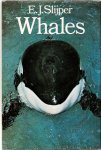 Slijper, E.J. - Whales