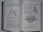 Wiedersheim, R.. - Grundriss der vergleichenden Anatomie der Wirbelthiere; für Studierende bearbeitet.