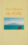 Mulisch (July 29, 1927 - October 30, 2010), Harry Kurt Victor - De Pupil - In zijn zestigste levensjaar haalt de schrijver een jeugdherinnering op - maar die is anders van aard dan men gewend is in onze literatuur. Italië 1945. De oude dame en de vulkaan