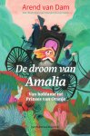 Arend van Dam - De droom van Amalia Van hofdame tot Prinses van Oranje