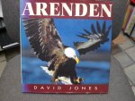 David Jones - Arenden David Jones - Arenden