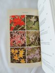 Hana Kees - Tuinbloemen : handboek voor de liefhebber : bloeiende planten en varens in het gematigde klimaat van Europa en Amerika