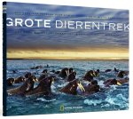 Onbekend - Grote dierentrek