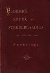 (BEETS, Nicolaas). KERKHOFF, Antonius van - Bloemen, kruid en stekelblaadjes uit den hof van Ferdinand. Met een brief aan den auteur van "Camera Obscura".