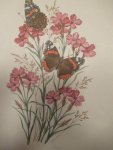  - Von den Kleinen Freuden des Sommers