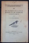 Engles-Julius, C.M. - In tuinen en langs wegen in de Indische laagvlakte