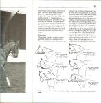 Made, Christine van der .. en Foto's Joop Gijsbers  .. Uitgever Henk Schuurmans  en Omslagontwerp Hans Britsemmer - Paardrijden. Omgaan met paard en pony. Basisboek