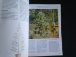 Boullemier, Leo B. - Fuchsias, Practical advice on growing and caring for fuchsias