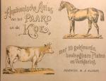 Redactie - Anatomische atlas van het paard en de koe