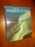 ABRAHAMSE, JAN (E.A.), - Waddenzee.
