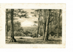 Craandijk, J. & Schipperus, P.A. - In de Lutte. Originele getinte litho.