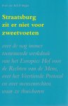 Myjer, B.E.P. - Straatsburg zit er niet voor zweetvoeten - Rede 2004