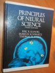 Kandel, Eric R ea. - Principles of neural science. (Third edition)