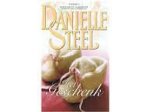 Danielle Steel, D. Steel - Het geschenk | Danielle Steel & D. Steel