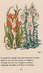 HESSE, Raymond. (HÉMARD, Joseph) - Fleurs de France. Fables et esquisses. Eaux-fortes originales de Joseph Hémard.