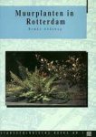 Andeweg, Remko - Muurplanten in Rotterdam