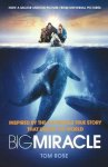 Tom Rose - Big Miracle