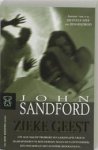 Sandford, John - Zieke geest