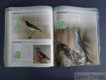 Alderton, David - Europese Vogels - Uitgebreide gids met ruim 500 soorten - Meer dan 1000 prachtige foto s - Kaders met identificatie-informatie en gedetailleerde verspreidingskaarten.