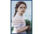 Philippe Claudel - Grijze Zielen