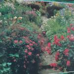 Boisset, Caroline (eindredactie) - Inspirerende ideeën voor uw tuin