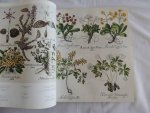 Besler, Basilius - The Book of Plants. The Complete Plates.