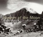 Sebastian Schutyser 30524 - Flowers of the Moon Afroalpine Vegetation of the Rwenzori Mountains