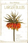 Mathew, Brian - The Larger Bulbs