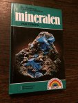 Medenbach - Mineralen van europa / druk 1