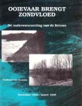 Ferdinand van Hemmen - Ooievaar brengt zondvloed
