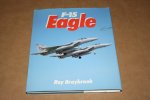 Roy Braybrook - F-15 Eagle
