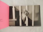 Montaquila, Christine Fotografie Kim Levin. /// Doornbos-van Miltenburg, M - Cattitude - de kittige gids om je geweldig te voelen - met ingelegde Hals ketting front cover zie foto  //// KATTEN en hun verzorging, voeding en huisvesting