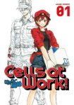 Akane Shimizu - Cells At Work! 1