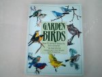 Dr. Nobel Proctor - Garden Birds How to attract birds to your garden