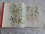 Besler, Basilius - The Book of Plants. The Complete Plates.