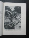 - La Guerre en Italie, La Bataille entre La Brenta et l'Adige - La Guerre en Italie, La Bataille entre La Brenta et l'Adige