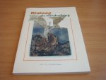 Scheffel-Baars, H. J - Dialoog als handreiking - rapport over de ervaringsdeskundigheid van Kombi