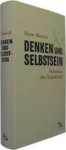 Dieter Henrich - Denken und Selbstsein: Vorlesungen über Subjektivität