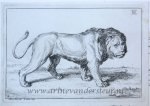 Bernard Picart (1673-1733), after Albrecht Dürer (1471-1528) - [Antique print, etching] Lion standing [set title: Receuil de Lions, series A]/Staande leeuw, published 1729.