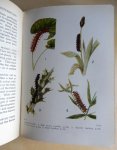 Stokoe, W.J.; Stovin, G.H.T. - The Caterpillars of the British Butterflies