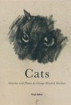 Tessel Dekker - Cats Sketches and Photos by George Hendrik Breitner
