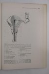 Diversen - Functionele anatomie, in goede handen, leergang voor de verpleegkunde, 2e gedeelte (3 foto's)