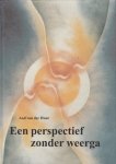 A. van der Hout - Een perspectief zonder weerga