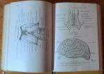 Voss, Hermann & Robert Herlinger - Taschenbuch der Anatomie - Bände 1-3