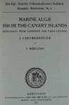 Borgesen, F. - Marine Algae of the Canary Islands. REPRINT [ isbn 906105012X ]