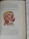 Lexer Erich - Lehrbuch der Allgemeinen Chirurgie
