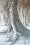 Wijnstroom, Anthonij Christiaan (1888-1971) - Ets/Etching: Tree trunk/Stam van boom.