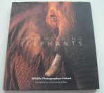 Raggett Margot - Remembering Elephants